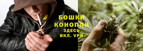 прущая мука Богданович