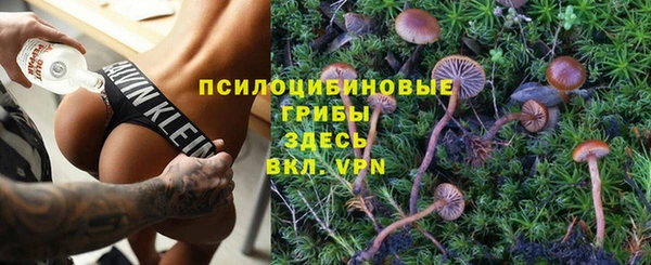 прущая мука Богданович