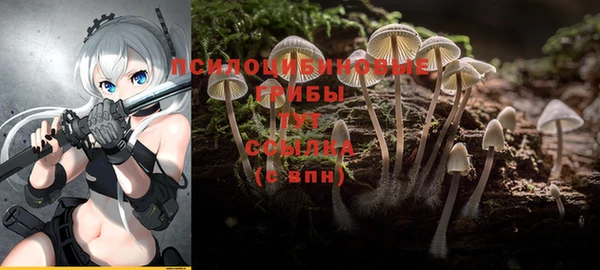 каннабис Богородск