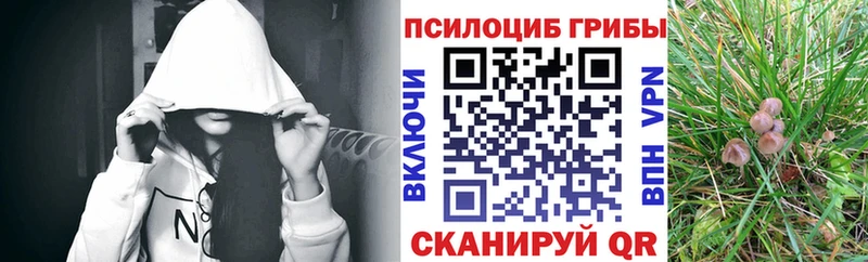 блэк спрут   Дюртюли  Галлюциногенные грибы GOLDEN TEACHER 