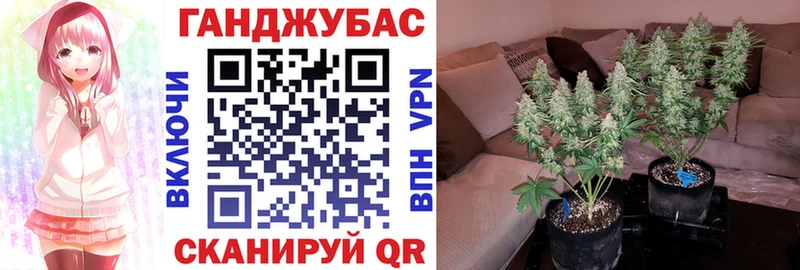 где купить наркоту  Дюртюли  Бошки Шишки сатива 